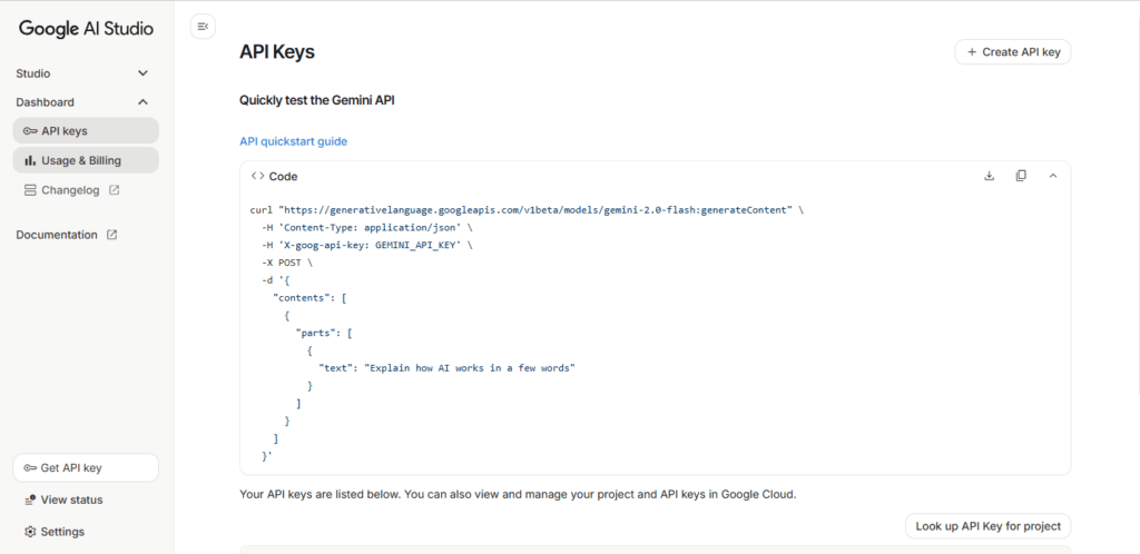 AI Studio Google